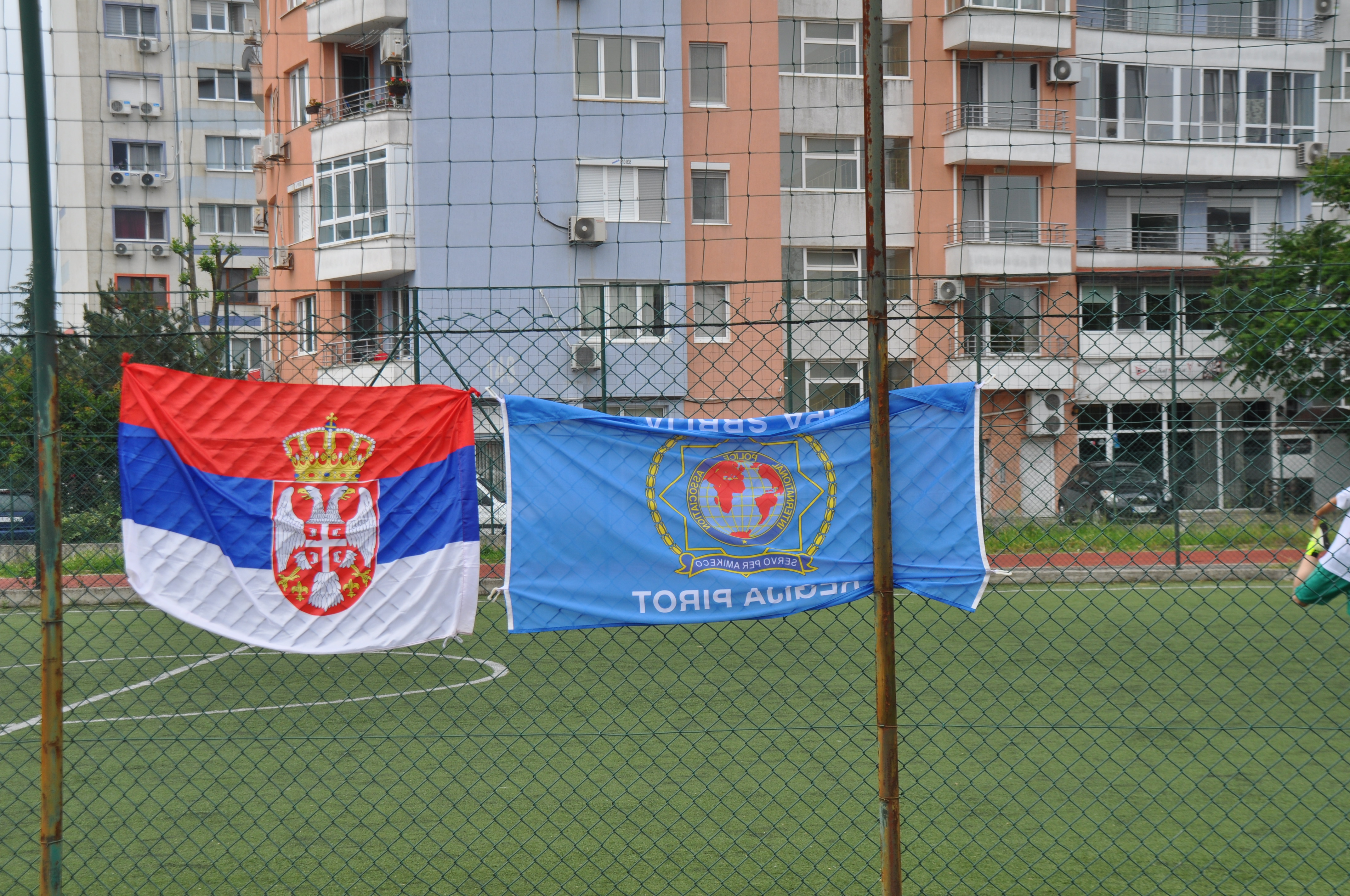 DSC_0223.JPG