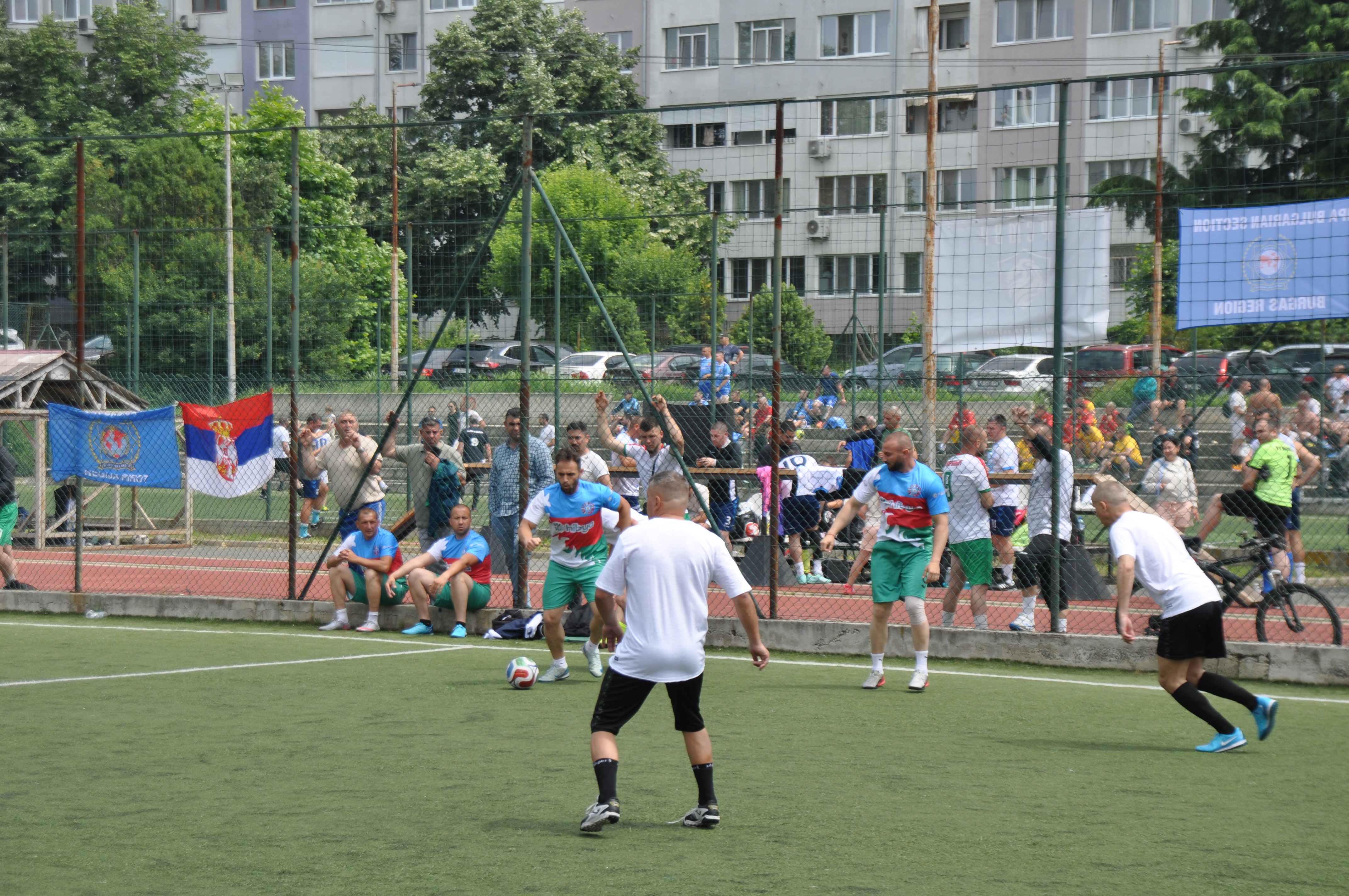 DSC_0355.JPG