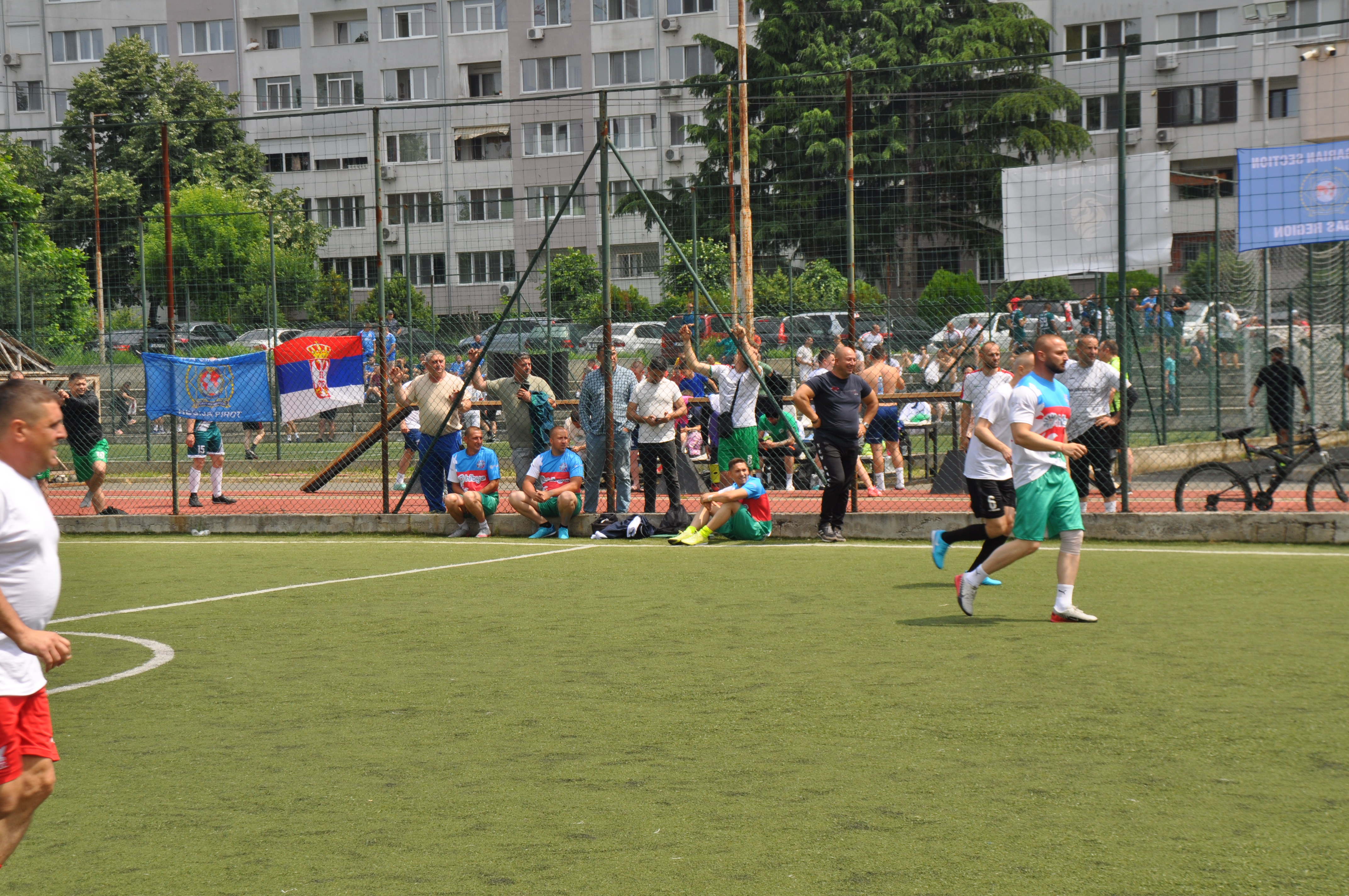 DSC_0379.JPG